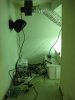 grow 003.jpg