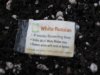 grow 018.jpg