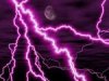 purple lpurple purple.jpg