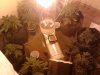 2011-04-04 15.44.35.jpg