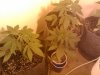 2011-04-04 15.45.08.jpg