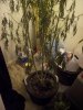 100_9042.jpg