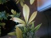 2011-04-05 13.17.51.jpg