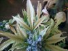 2011-04-05 13.17.43.jpg