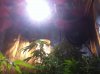 IMG_0356.jpg IMG_0356.jpg