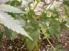 DSCN9049.jpg