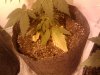 2011-04-07 07.36.54.jpg