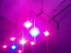 my9leds.jpg