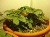DSC01176.jpg