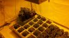2011-04-01_09-26-06_458.jpg