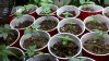 2011-03-18_08-48-26_706.jpg