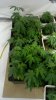 2011-04-04_16-42-17_584.jpg