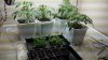 2011-03-03_13-09-46_149.jpg
