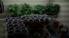 2011-03-12_18-38-49_529.jpg