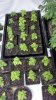 2011-04-04_16-42-02_582.jpg