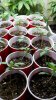 2011-03-18_08-48-35_676.jpg