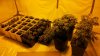 2011-03-29_09-07-26_554.jpg