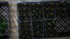 2011-03-09_16-05-16_390.jpg