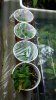 2011-03-18_08-48-47_842.jpg