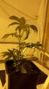 2011-04-04_20-29-39_515.jpg
