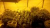 2011-04-06_20-14-02_904.jpg