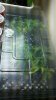 2011-03-18_08-48-43_586.jpg