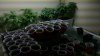 2011-03-11_18-38-53_431.jpg