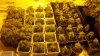 2011-04-04_20-26-19_236.jpg