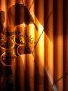 2011-04-06230633.jpg