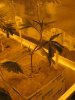 TrainWreck #3 - Day 1.jpg