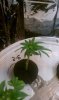 IMAG1070.jpg