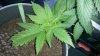 2011-04-08_17-48-13_649.jpg