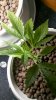 2011-04-08_17-48-53_210.jpg