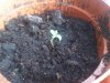 20110406.jpg