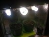 27022011034.jpg 27022011034.jpg