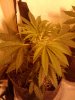 2011-04-10 19.28.16.jpg