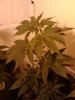 2011-04-10 19.28.43.jpg