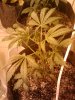 2011-04-10 19.28.30.jpg