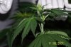 100_3697.jpg