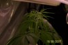 100_3728.jpg
