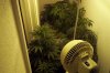 100_1351.jpg