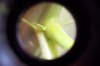 100_1350.jpg