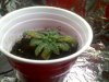 PIC-0083.jpg