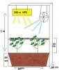 scrog.jpg