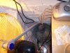 grow co2 028.jpg