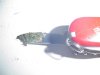 DSC01958.jpg