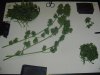 DSC01954.jpg