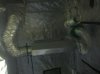 IMG_20110412_172620.jpg