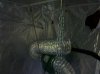 IMG_20110412_172630.jpg
