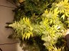 2011-03-05 10.45.57.jpg